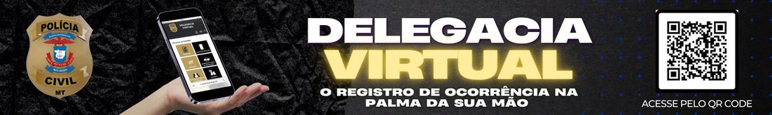 Delegacia Virtual 